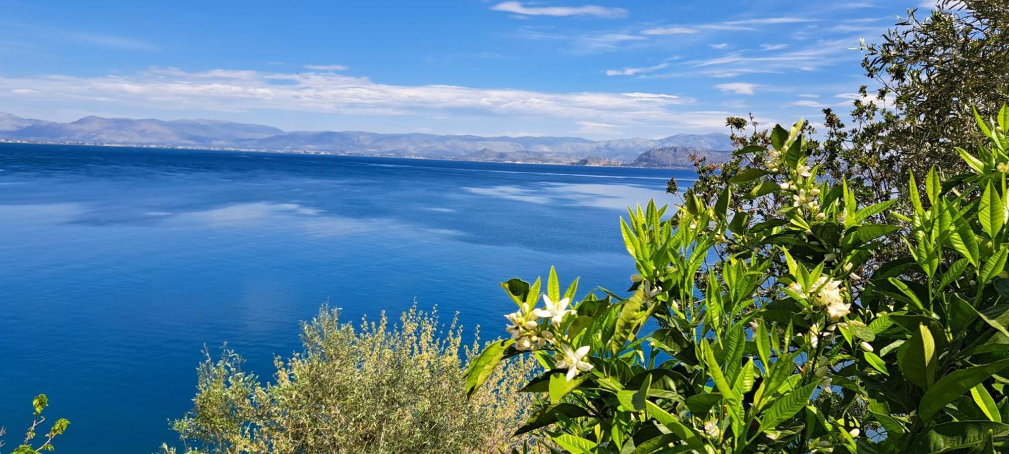 Linamare Eolos Kivérion Cameră foto